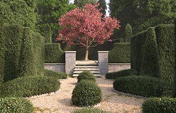 Creating Trimmed Hedges and Topiary