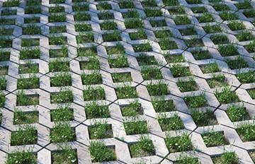 Combining Concrete Paving and Grass
