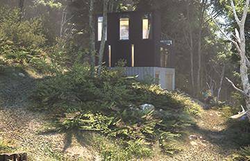 Using photo-scanned assets with Forest Pack