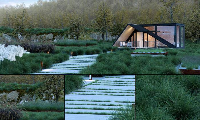 Making-of Field Plants and Grasses