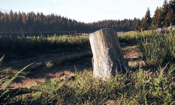 How to use Forest Pack 7's Tree Stump Library