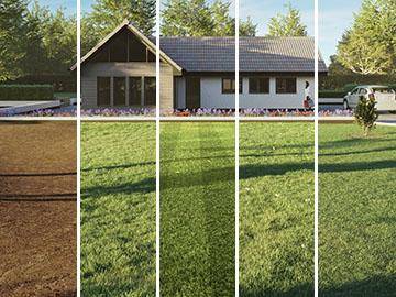 Creating realistic wild, mown and striped grass in 3ds Max