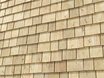 Ask iToo July Livestream