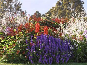 Ask iToo February 2022 Livestream