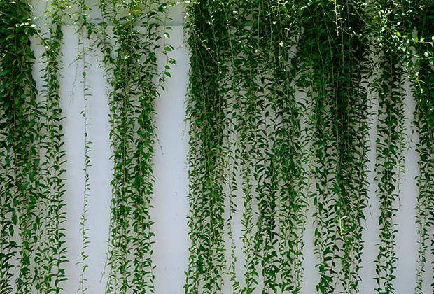 Ask iToo January 2023 Livestream