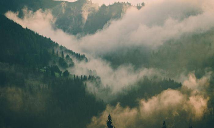 Ask iToo February 2023 Livestream