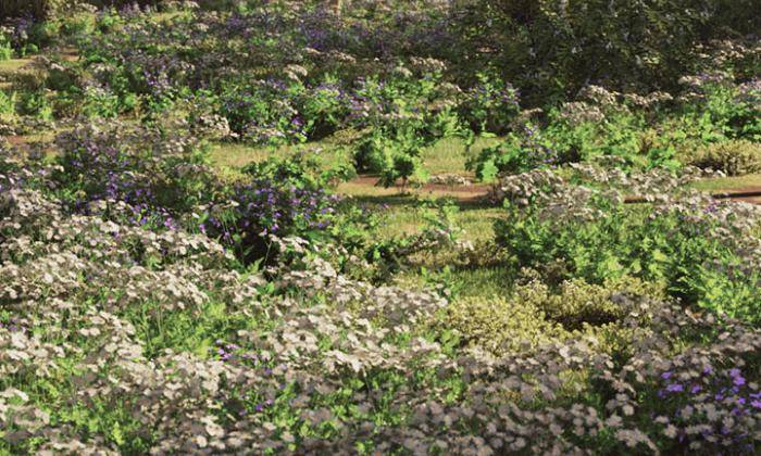 Ask iToo July 2023 Livestream