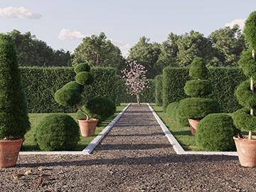 How to create Boxwood shrubs with Forest Pack in 3ds Max