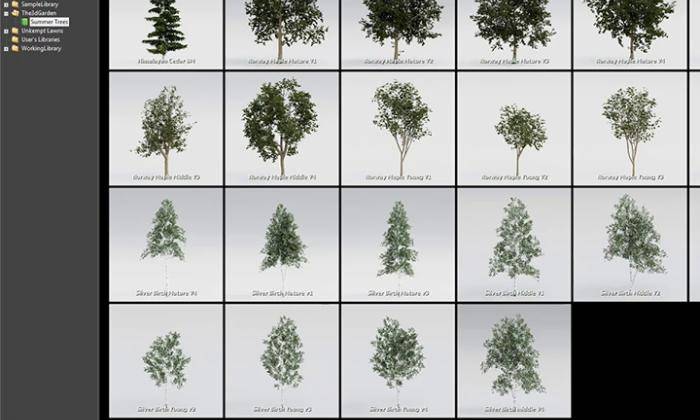 Installing 3dGarden Libraries