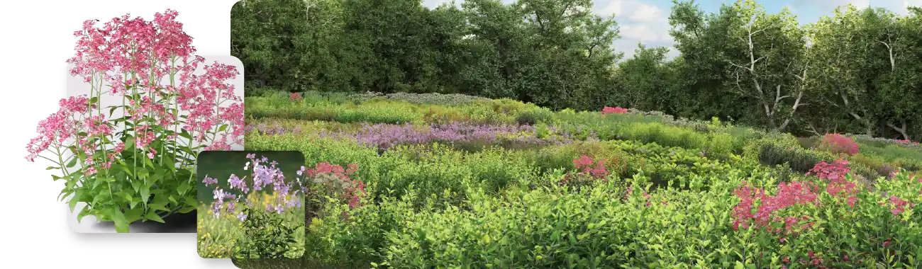 Realistic leaves