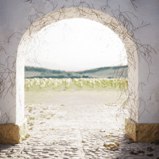 ForestIvy's tapered branches